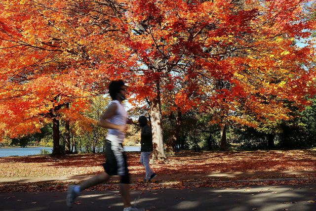 Here's your national fall weather forecast