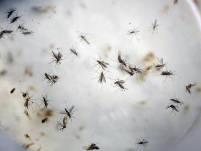 Congress ready to act on Obama's Zika call