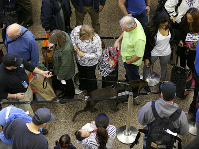TSA sends dozens to Chicago to cut wait times