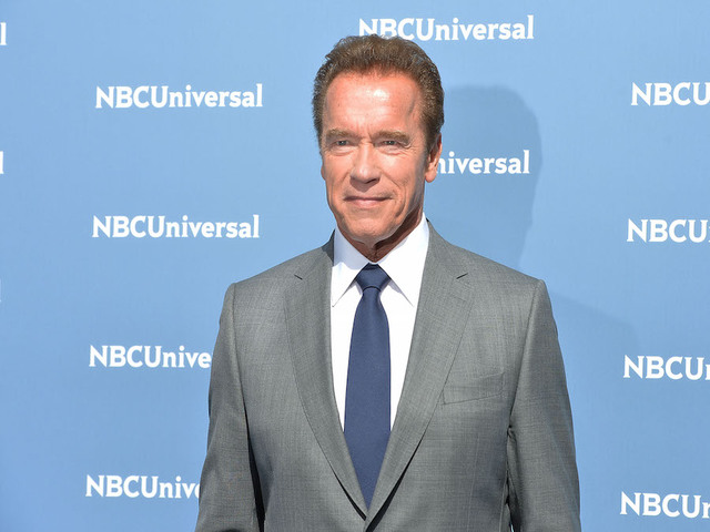 Elephant has brush with Schwarzenegger's safari
