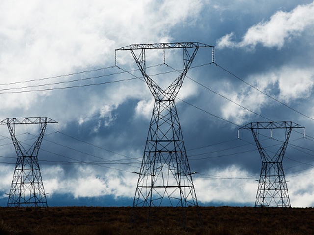 Monkey causes giant Kenyan blackout