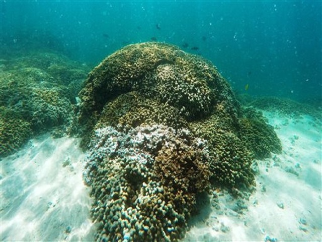 NASA takes 23,000-foot view of coral reefs