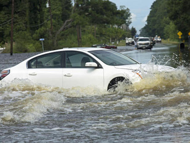 Good Samaritans rescue woman, dog from Louisiana floodwaters