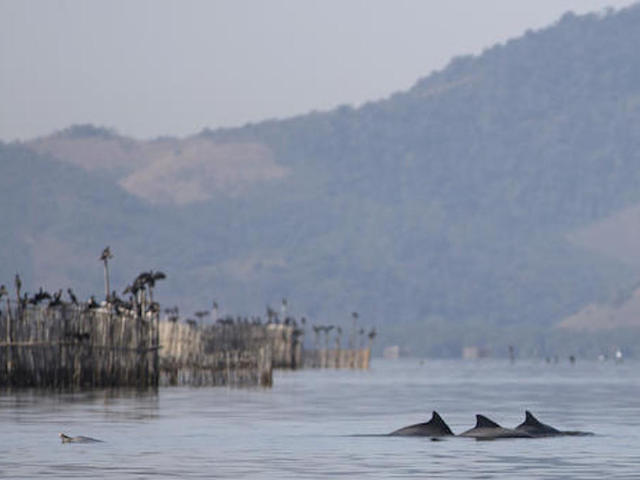 Water to remain filthy in Rio after Olympics