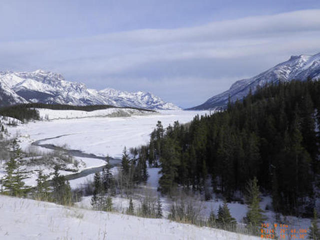 Global warming 'hockey stick' trend might not be right, study suggests