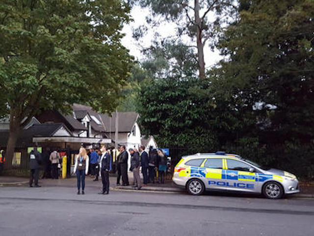 London Zoo recaptures escaped gorilla, no injuries reported