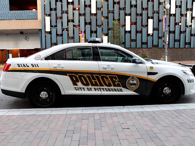 Man in pink lingerie fights police, arrested for lewdness, DUI