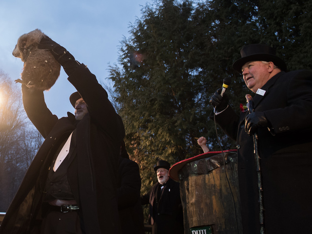 Here are some of social media's best Groundhog Day posts