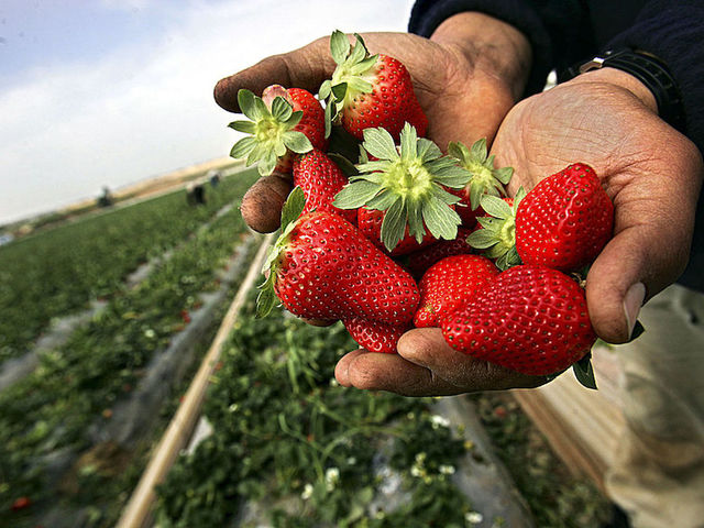 Man accused of defecating on church steps while eating strawberries