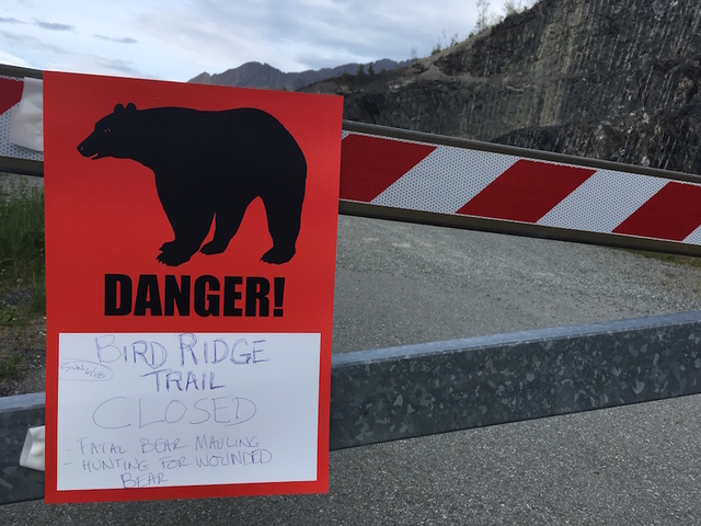Bear kills teen athlete during Alaska mountain race