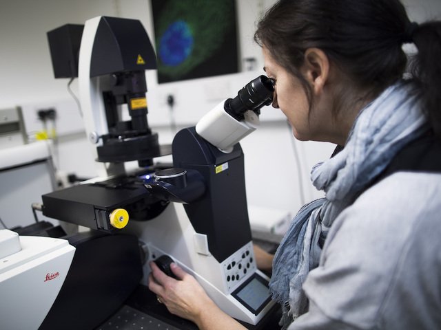 Health officials warn of 'smarter,' untreatable gonorrhea 'superbug'