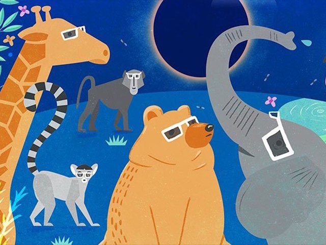 Help solve an ancient mystery about the eclipse: Figure out what the animals do