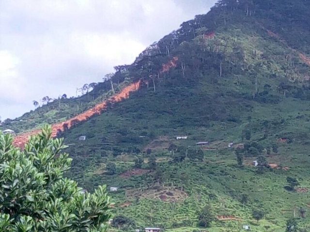 467 people killed in mudslides in Sierra Leone