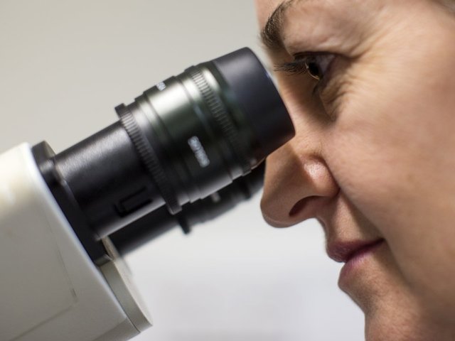 Cancer disease pollen