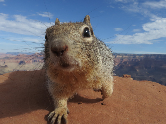 National park fees will rise, but not as high as first proposed