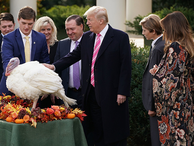President Trump pardons 'Drumstick' the turkey in White House ceremony