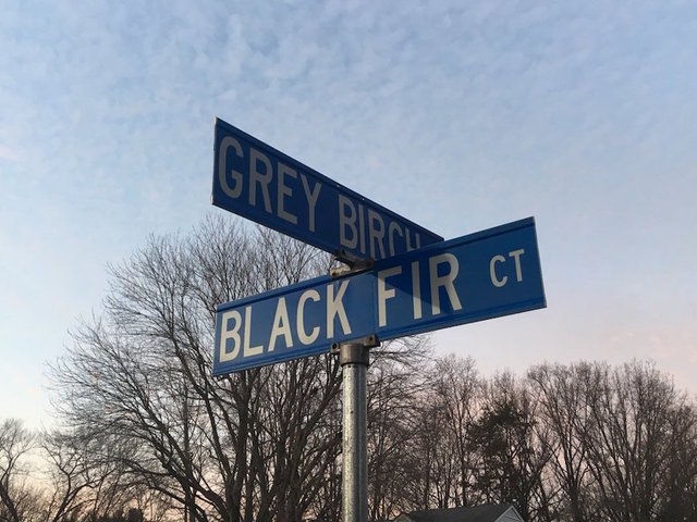 Virginia teen faces charges in shooting deaths of girlfriend's parents