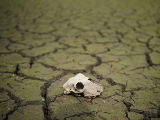 Earth at risk of becoming 'hothouse' if tipping point reached, report warns