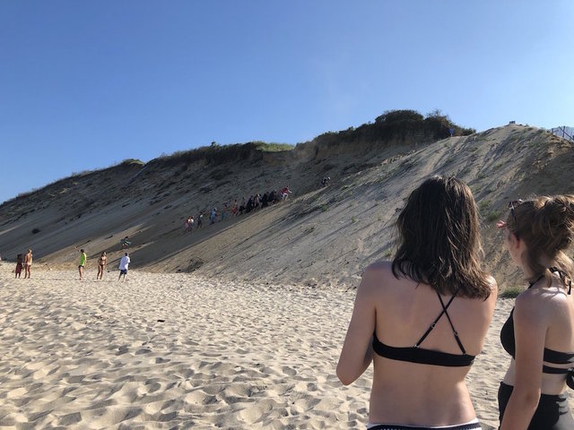 Shark attacks swimmer on Cape Cod