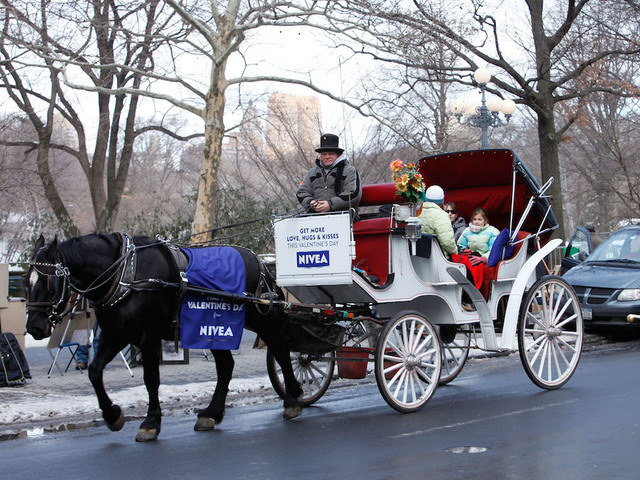 Chicago may get rid of horse drawn carriage rides