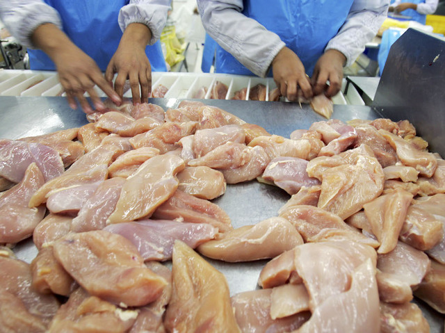 Drug-resistant salmonella from chicken sickens nearly 100